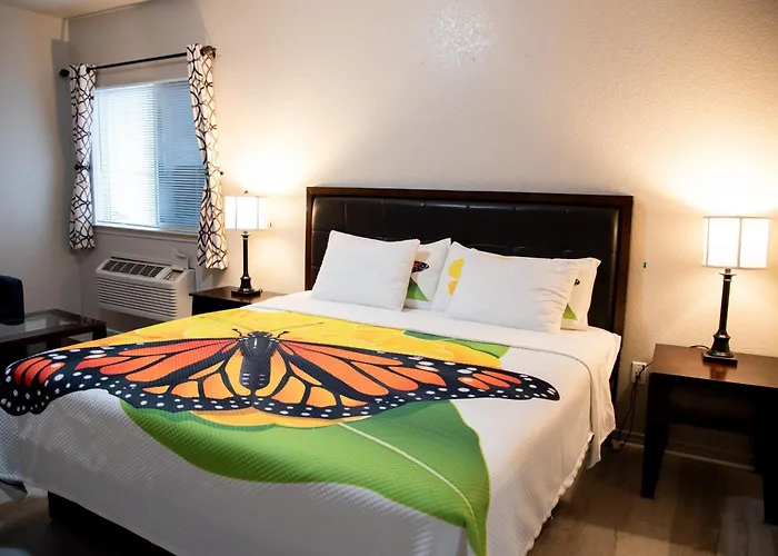 Hotel Premium And 3*